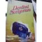 Derdimi Seviyorum 5