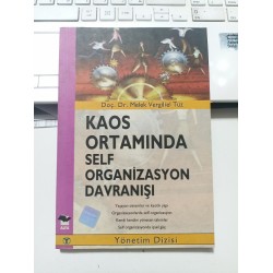 Kaos Ortamında Self Organizasyon Davranışı