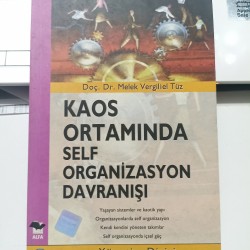 Kaos Ortamında Self Organizasyon Davranışı