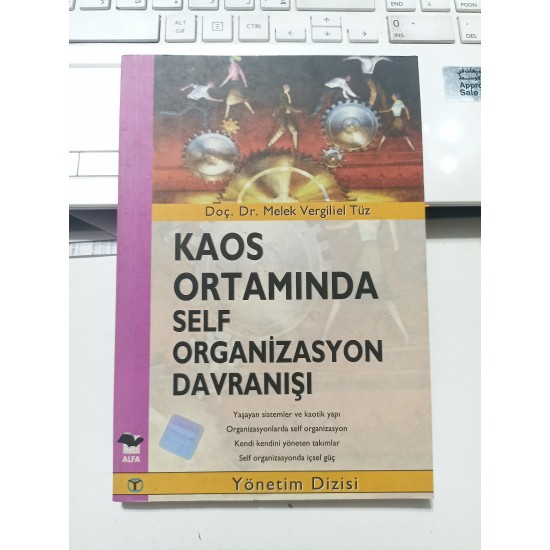 Kaos Ortamında Self Organizasyon Davranışı