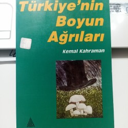 Türkiye'nin Boyun Ağrıları