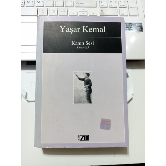 Kanın Sesi (Kimsecik 3)
