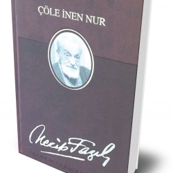 ÇÖLE İNEN NUR (DERİ CİLTLİ ÖZEL BASIM)