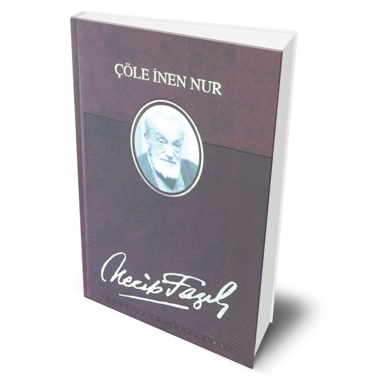 ÇÖLE İNEN NUR (DERİ CİLTLİ ÖZEL BASIM) ÇÖLE İNEN NUR (DERİ CİLTLİ ÖZEL BASIM)