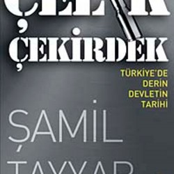 Çelik Çekirdek Türkiye'de Derin Devletin Tarihi